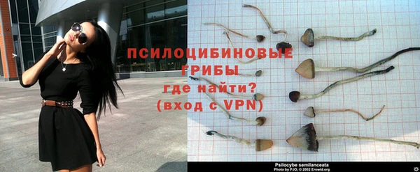 a pvp Алзамай